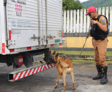 Cães da PRE