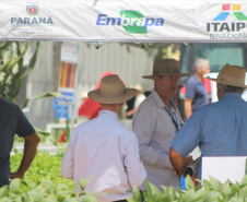 IDR-Paraná supera 200 mil atendimentos no Show Rural e fica ainda mais perto do produtor