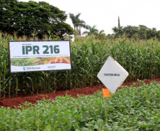 Com apoio do IDR, Smart Farm de Londrina reuniu inovações digitais do agronegócio