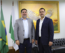 GOVERNADOR