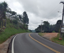 Estado está finalizando restauração de rodovia na RMC 