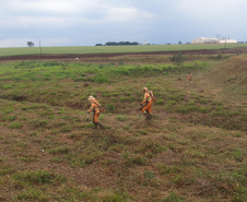 DER Peabiru-Campo Mourão