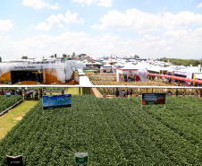 IDR-Paraná supera 200 mil atendimentos no Show Rural e fica ainda mais perto do produtor