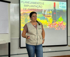 Programa de revitalização da viticultura promove capacitação 60 técnicos
