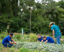  Educação aumenta alimentos orgânicos na merenda e ensina prática nas escolas