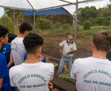  Educação aumenta alimentos orgânicos na merenda e ensina prática nas escolas