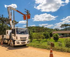 PR Trifásico conclui a construção de 11.245 km de redes e já beneficia 315 municípios 
