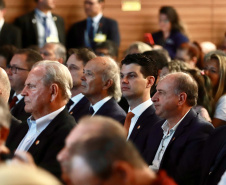 GOVERNADOR EM EXERCÍCIO - FOZ