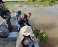 Operação do IAT no Rio Paraná busca combater a prática da pesca ilegal. Foram recolhidos materiais proibidos e aplicadas multas.