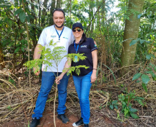Regionais do IAT plantaram cerca de 18 mil mudas em diferentes localidades do Estado para recuperar matas ciliares