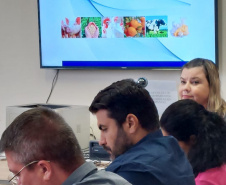 Reunião prevenção à gripe aviária