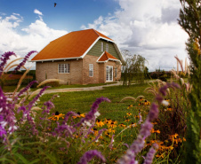 Rota da Lavanda