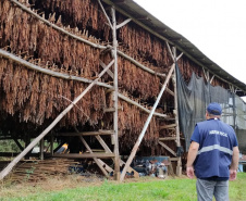 Receita Estadual identifica estoque irregular com 45 toneladas de fumo