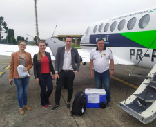 Transporte de órgãos