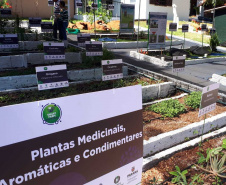 Eventos na ExpoLondrina discutem sustentabilidade na agropecuária