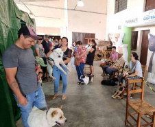 CastraPet Paraná chega a nove cidades em maio