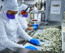 Chocolates colocam Paraná em boa posição em consumo, emprego e renda