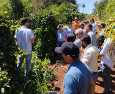 IDR-Paraná incentiva produção de frutas orgânicas em Arapongas