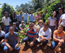 IDR-Paraná incentiva produção de frutas orgânicas em Arapongas