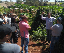 IDR-Paraná incentiva produção de frutas orgânicas em Arapongas