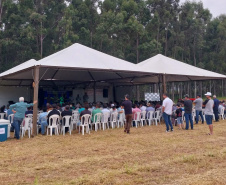 Rondon recebe 1° Encontro Regional de Produtores de Mandioca