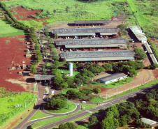 Ceasas de Londrina, Maringá e Foz do Iguaçu estarão abertas na próxima sexta-feira