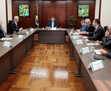 Em reunião com Ministro, comitiva paranaense defende políticas para o agronegócio
