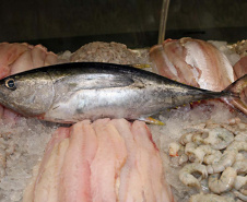 Sesa orienta sobre cuidados ao escolher o pescado para a Sexta-feira Santa   