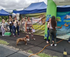 CastraPet Paraná chega a nove cidades em maio