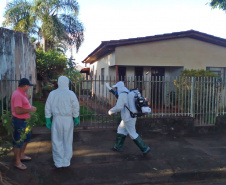 Vigilância Ambiental da Sesa é referência nacional em procedimentos técnicos no combate à dengue