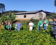 IDR-Paraná investe em projeto para manter o jovem no campo
