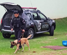  Em parceria com a Secretaria Municipal de Educação, Polícia Penal auxilia em projeto educativo sobre fauna em CMEIs de Maringá
