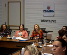 SEMI: Conselho Estadual dos Direitos da Mulher instituiu comissão eleitoral e definiu pautas para a garantia de direitos