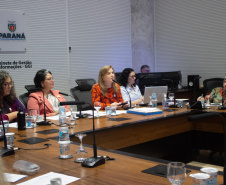 SEMI: Conselho Estadual dos Direitos da Mulher instituiu comissão eleitoral e definiu pautas para a garantia de direitos