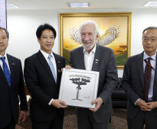 Comitiva Japonesa