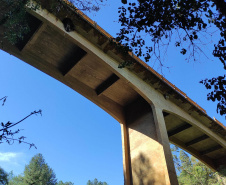 pontes