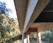 pontes
