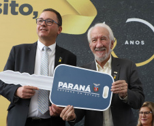 MAIO AMARELO