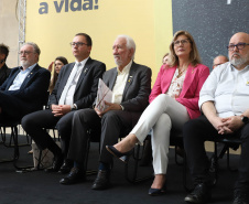 MAIO AMARELO