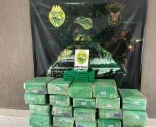 Polícia Militar prende homem e apreende 700 quilos de maconha em Douradina