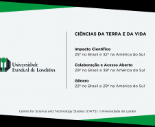 UEM e UEL estão entre as universidades que mais produzem pesquisa de impacto no Brasil
