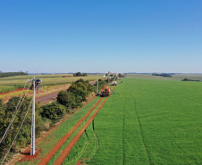 Paraná Trifásico entrega 12,5 mil km de novas redes e alcança 50% do programado