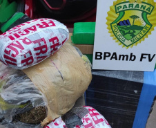 *Polícia Militar apreende mais de meia tonelada de drogas em Umuarama
