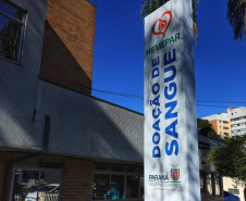 Dia do Doador de Sangue: Sesa ressalta a importância do ato solidário 