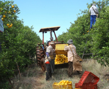 AGRI