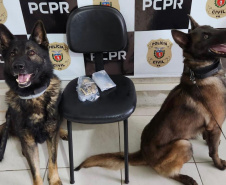PCPR prende três pessoas em operação contra tráfico de drogas em Jaguariaíva