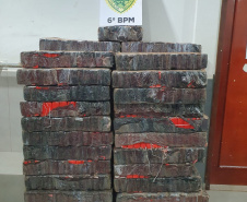 Polícia Militar apreende mais de 700 quilos de drogas em ocorrências distintas