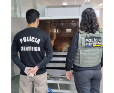 Com serviço especializado, Polícia Científica mantém equipe exclusiva para necropsia em animais