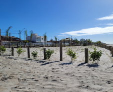 RESTINGA
