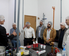 Estado e setor privado discutem ações para impulsionar a produção de mandioca